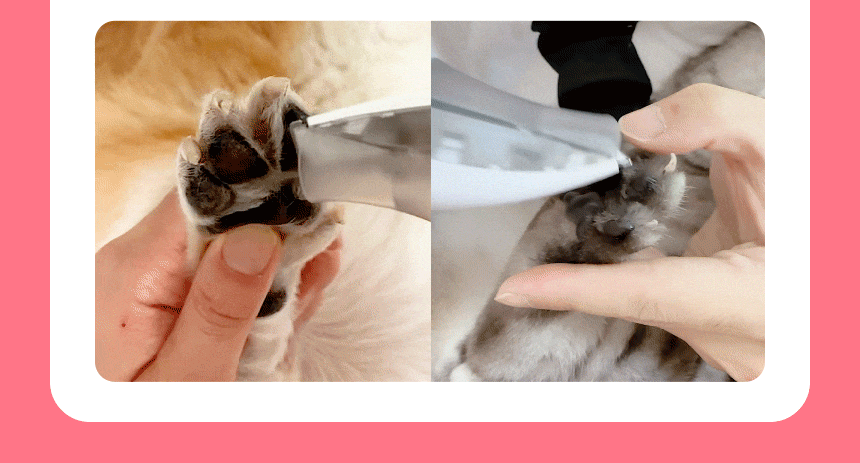 7d7891ddd445109470625c7501fa959b_1772526954_9645.gif